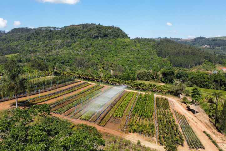 aggriculture-farm-land-sale